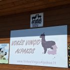 WYCIECZKA – POZNAJEMY ALPAKI
