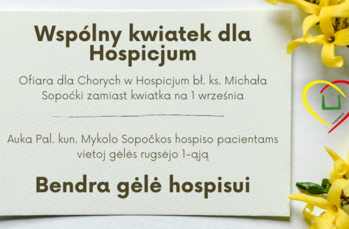 Wspolny-kwiatek-dla-Hospicjum-624x328 Wspolny-kwiatek-dla-Hospicjum-624x328