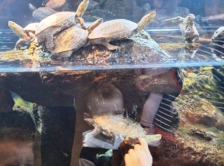 Wycieczka do Wileńskiego ZOO (2) Wycieczka do Wileńskiego ZOO (2)