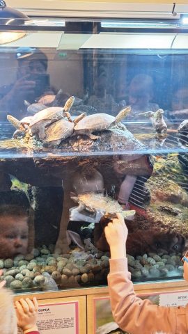 Wycieczka do Wileńskiego ZOO (2)