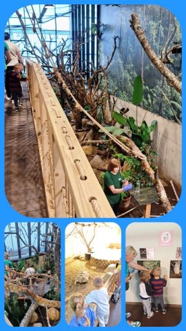 Wycieczka do Wileńskiego ZOO (5)