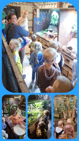 Wycieczka do Wileńskiego ZOO (6)