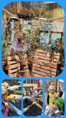 Wycieczka do Wileńskiego ZOO (7)