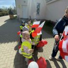 BALTAI-RAUDONAS ŽYGIS GLITIŠKĖSE / BIAŁO-CZERWONY MARSZ W GLINCISZKACH